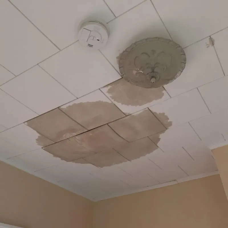Ceiling Water Damage Repair in Hampton, VA