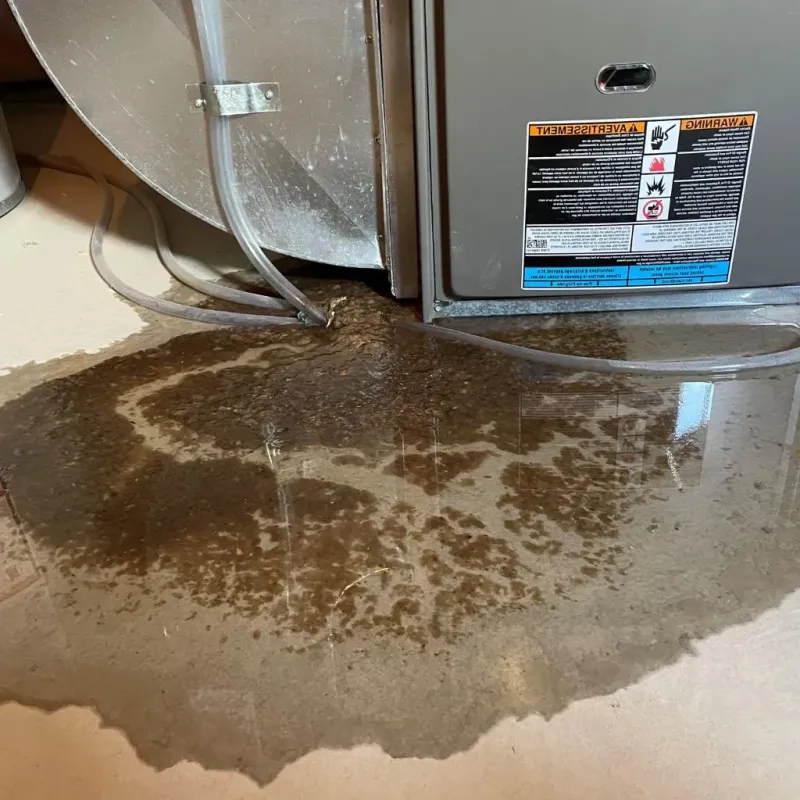 Pipe Burst and Leak Restoration in Hampton, VA