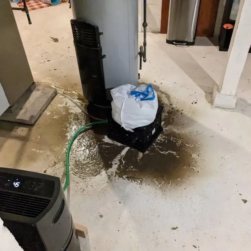 Sewage Backup Cleanup Service in Hampton, VA